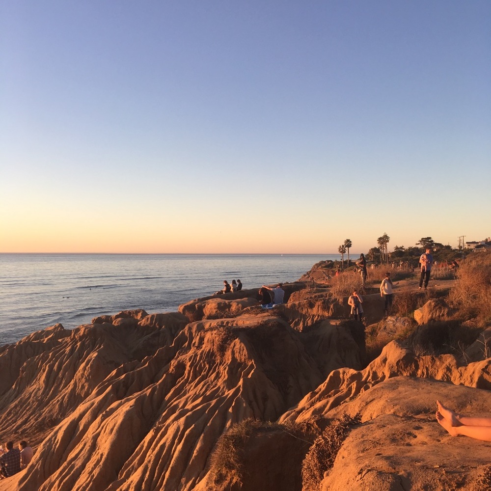 Meet your Posher, Greta